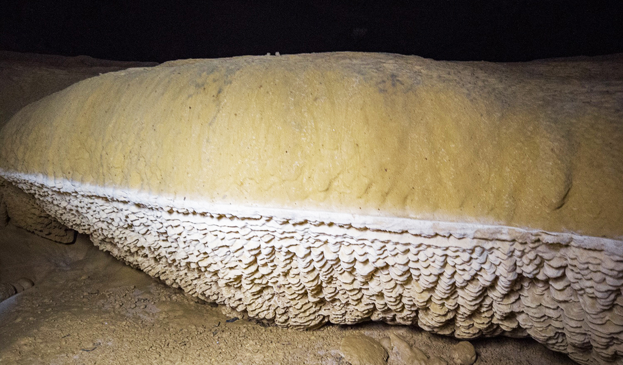 a stalagmite shaped as a flesh of durian