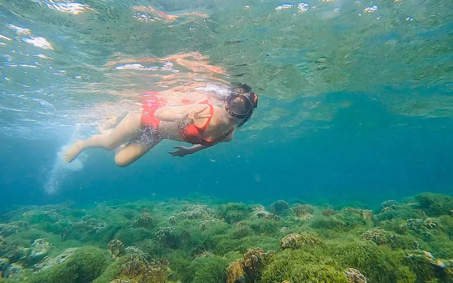trải nghiệm lặn ở Phú Quý