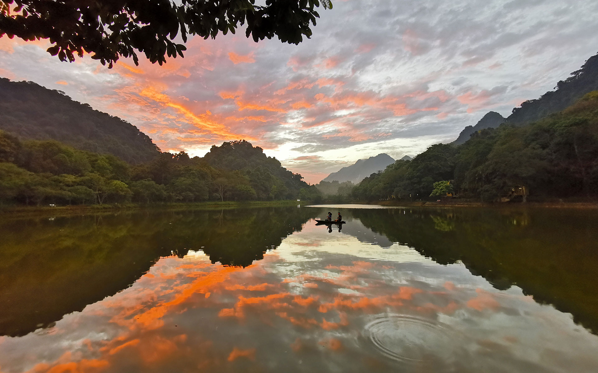 peaceful scenery of Cuc Phuong national park