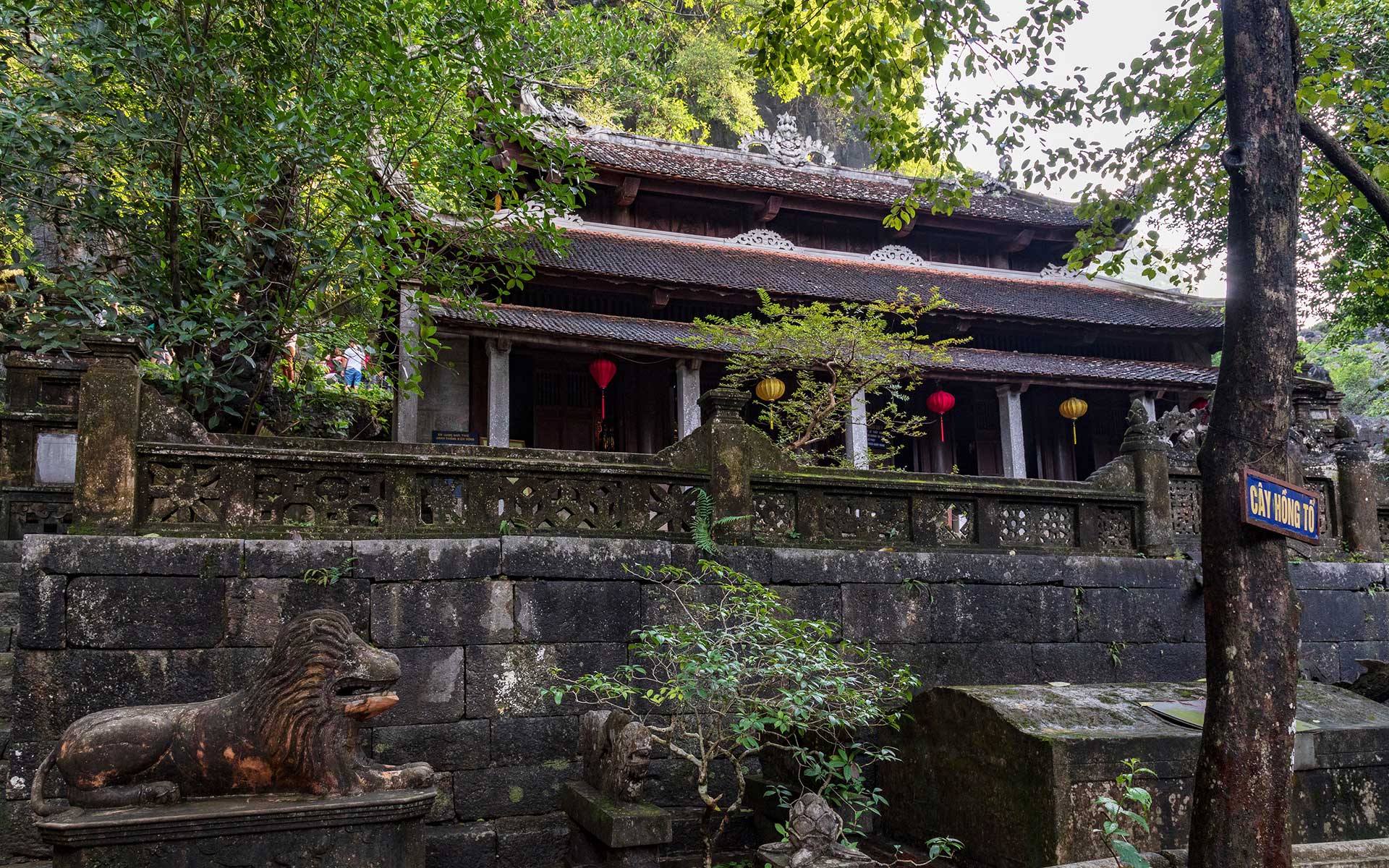 Bich Dong Pagoda in Ninh Binh, Vietnam: The ULTIMATE Guide!