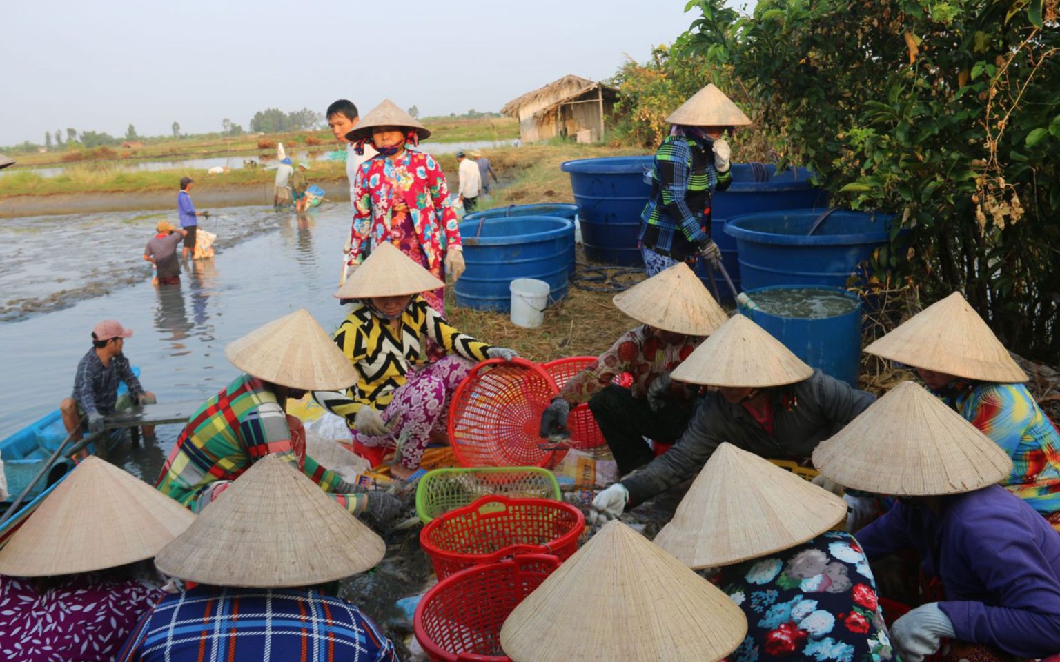 Conical Hat - National Headgear And Symbol Of Vietnam