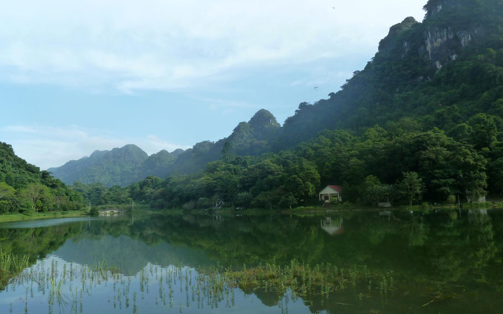 a green scenery of Cuc Phuong
