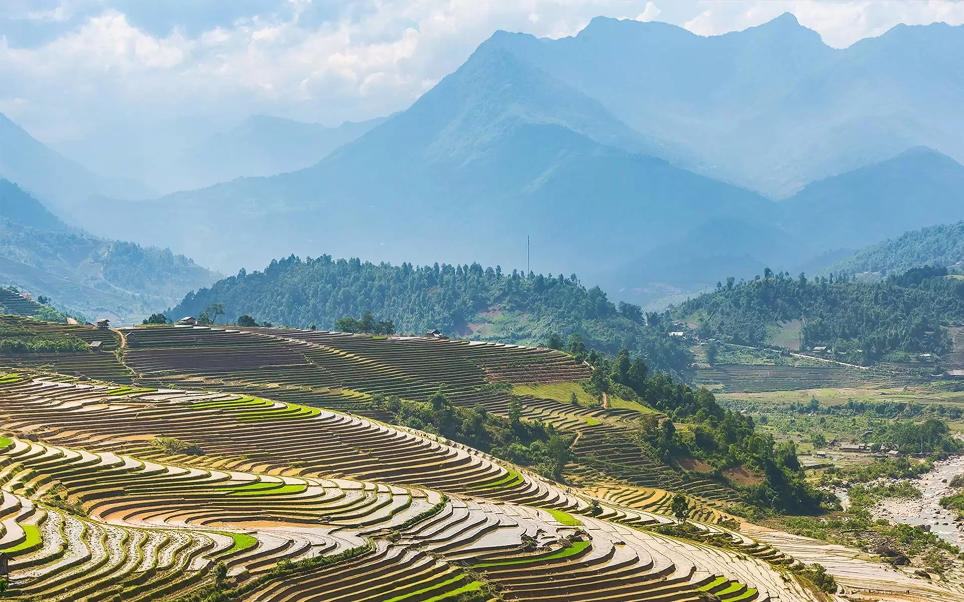 Terrace Fields Sapa in April