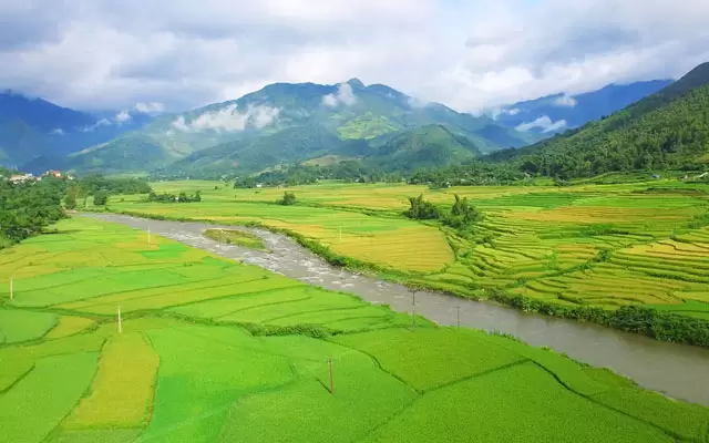 Pictures of green rice fields in Mai Chau