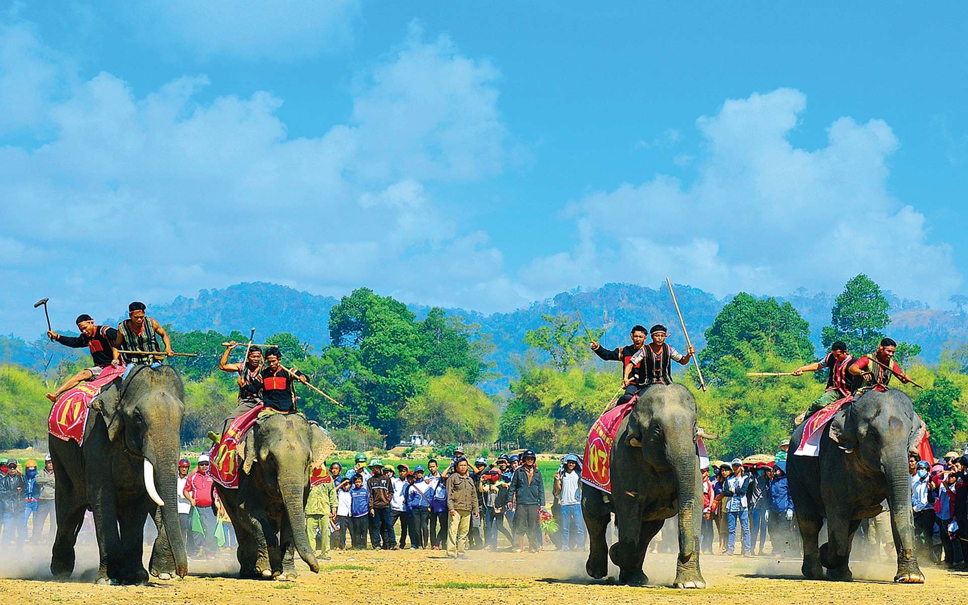 Elephant Racing Festival (Dak Lak)