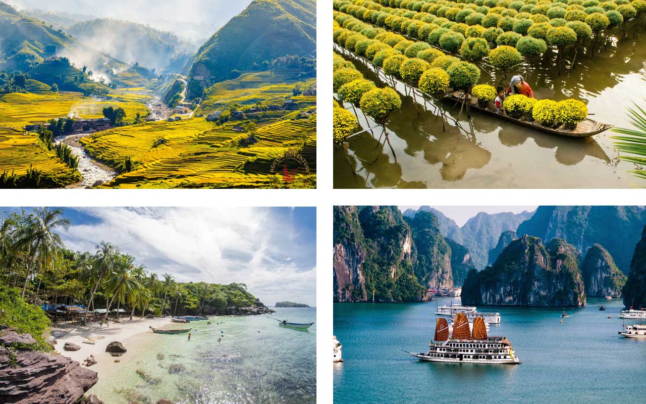 A collage of four images showing different destinations and activities in Vietnam in December