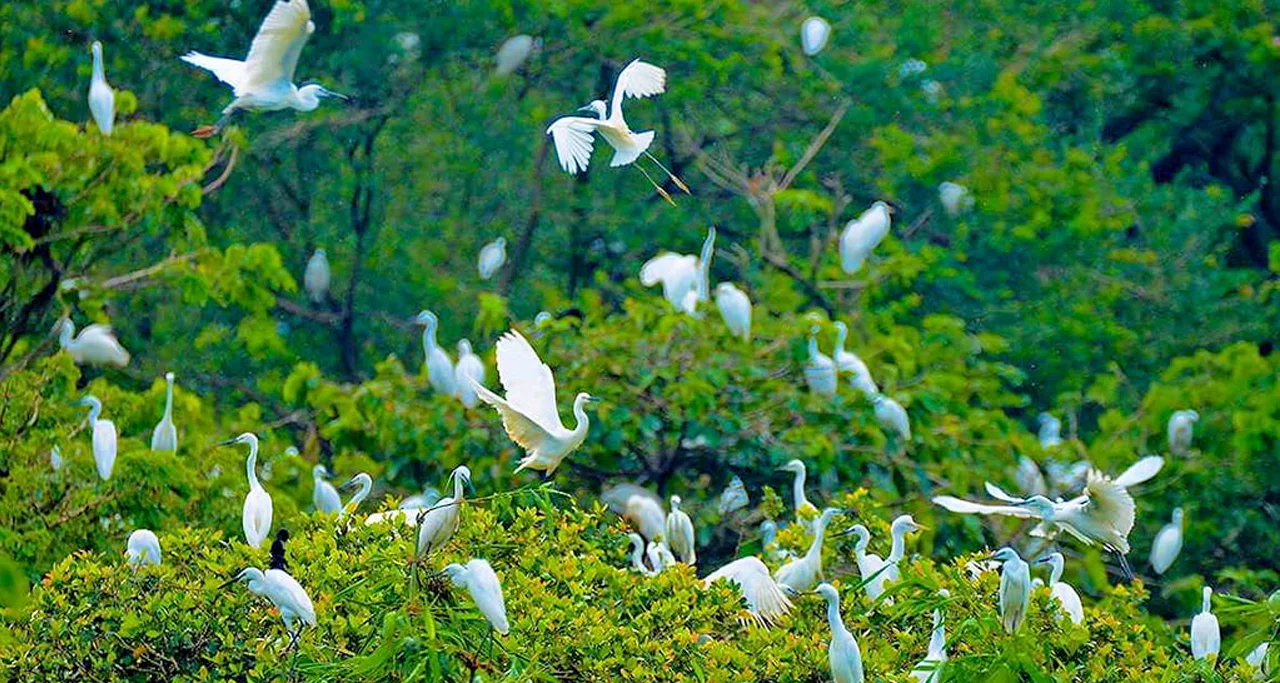 Bang Lang Stork Sanctuary