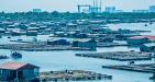 Oyster-Floating-Village-Phu-My