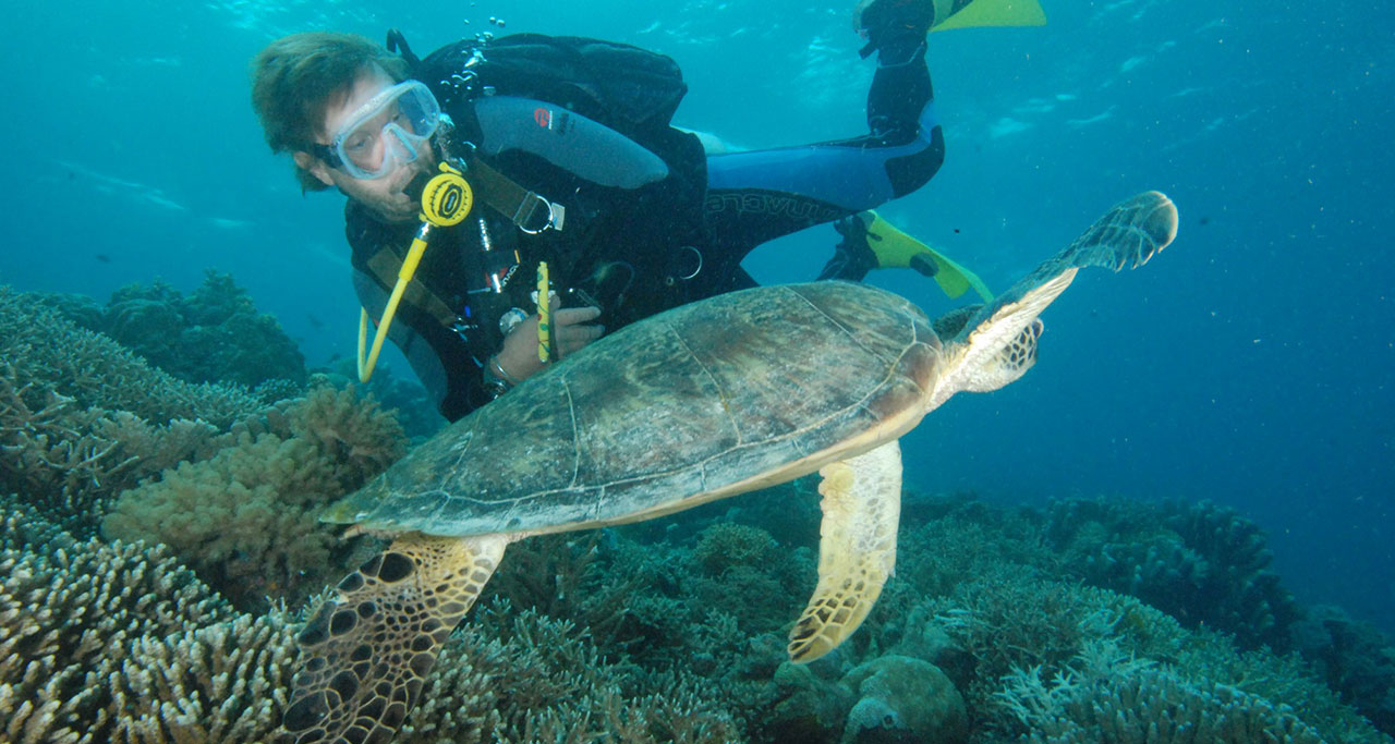 diving at Nudibranch Garden