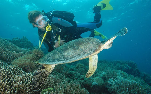 Diving in Phu Quoc