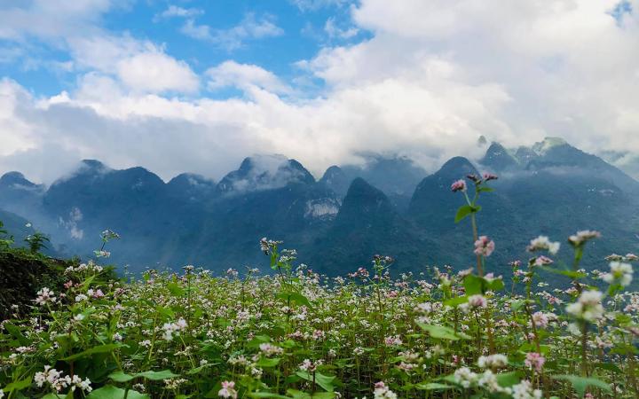 11 Best Things to Do and See in Ha Giang in 2024