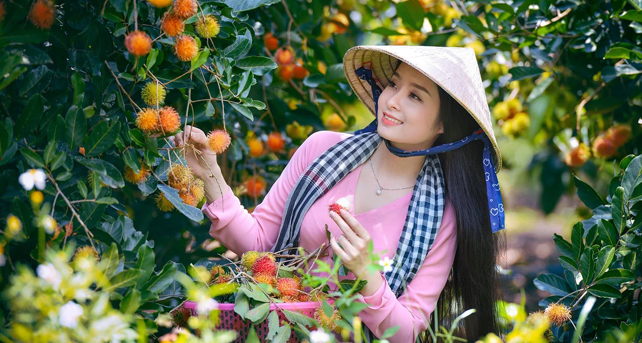Try fresh tropical fruits in Mekong Delta orchards