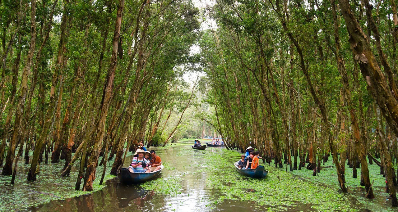 The only way to go deeply inside Tra Su Forest is by boat with local tour guide