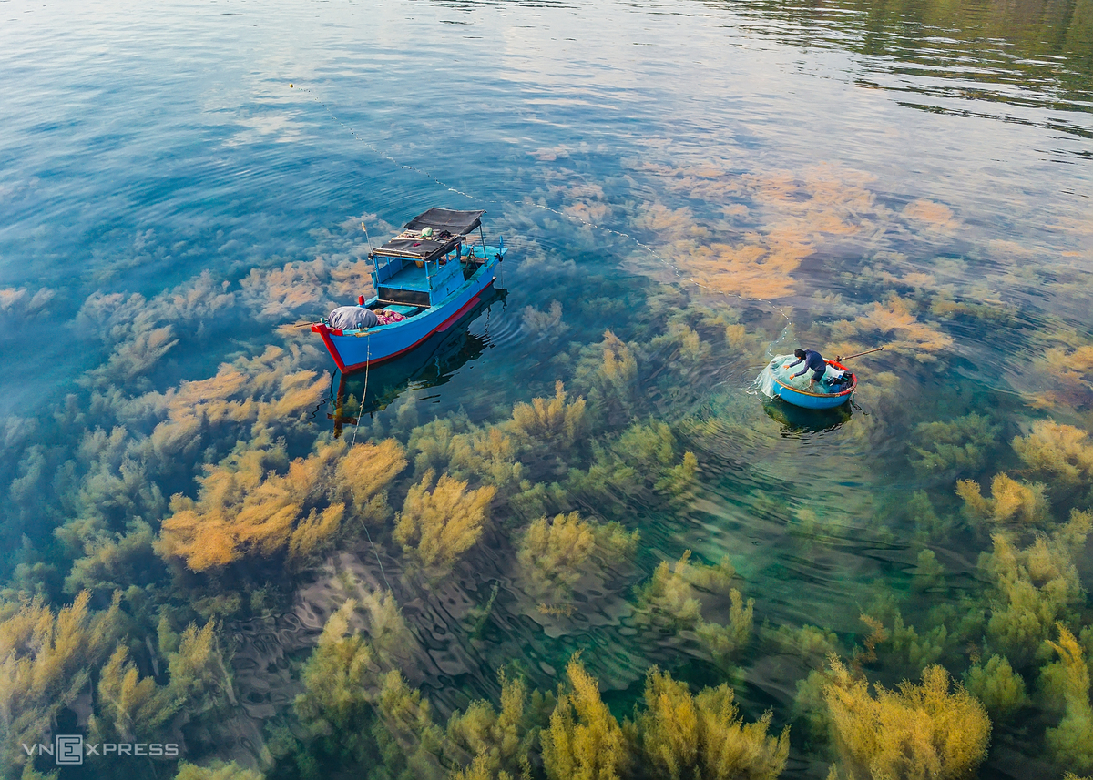 A man collects his net for the next fishing trap