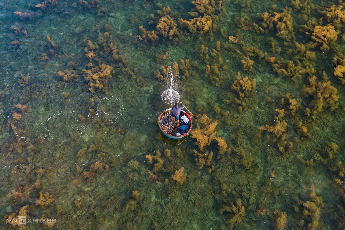 Hitting into the water to scary fishes in Quang Ngai