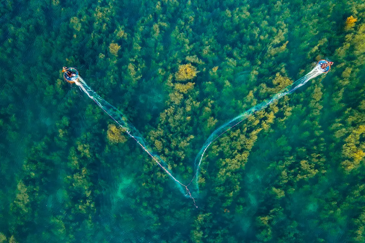 Panoramic View of Quang Ngai’s Seaweed Forest