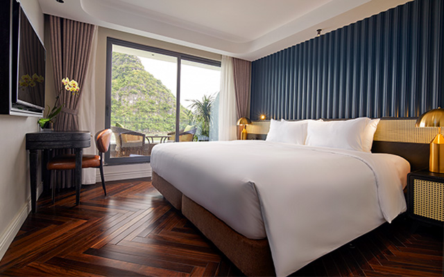 Elite Senior Suite