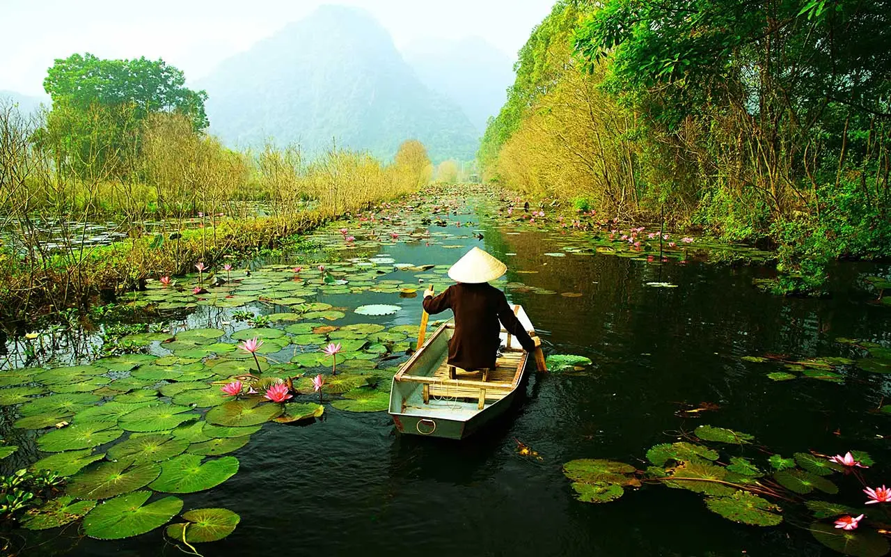 A beautiful view of the Dong Thap province