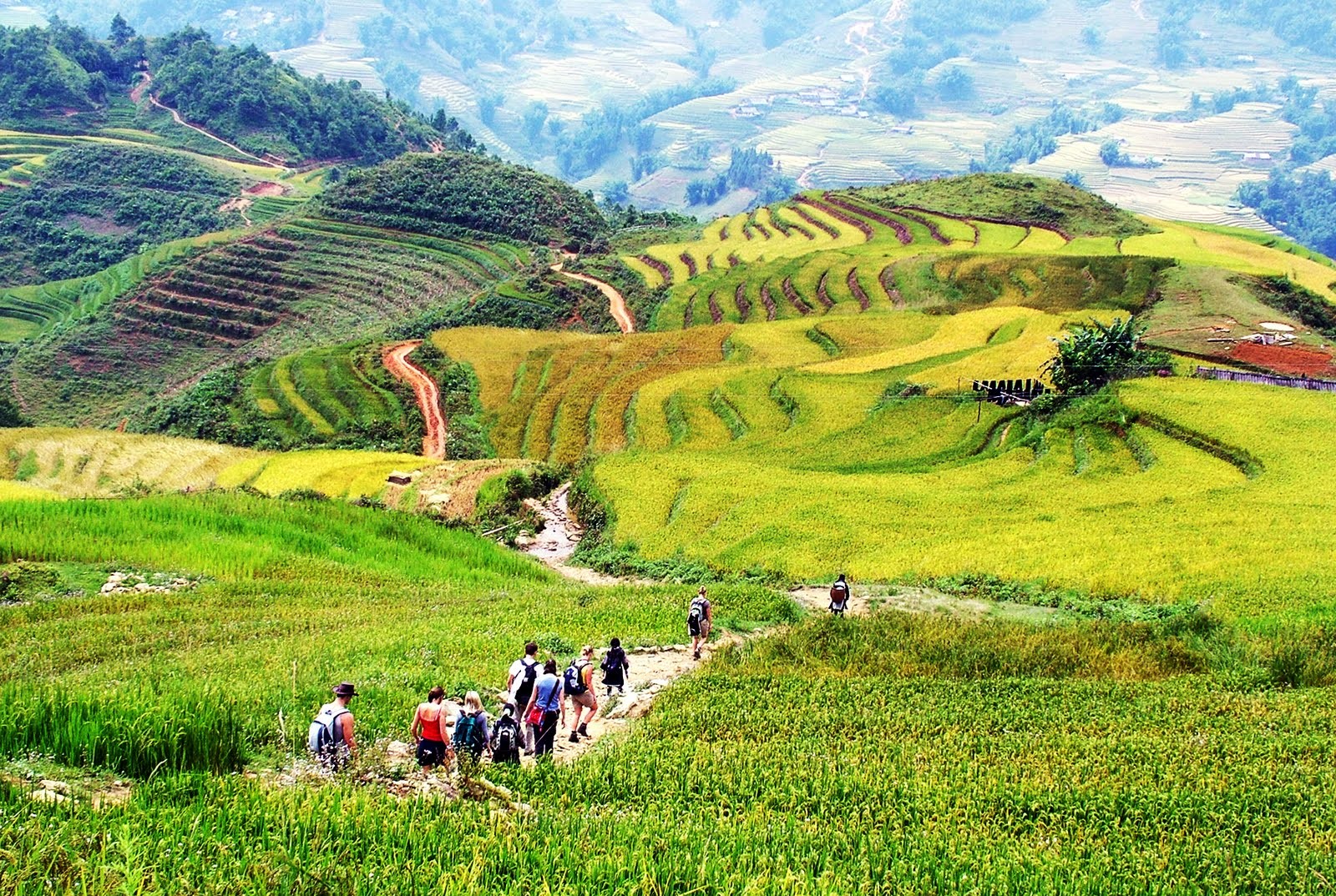 When Is The Best Time To Visit Vietnam?