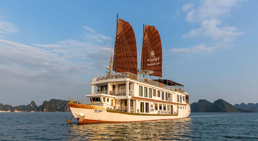 Violet cruise