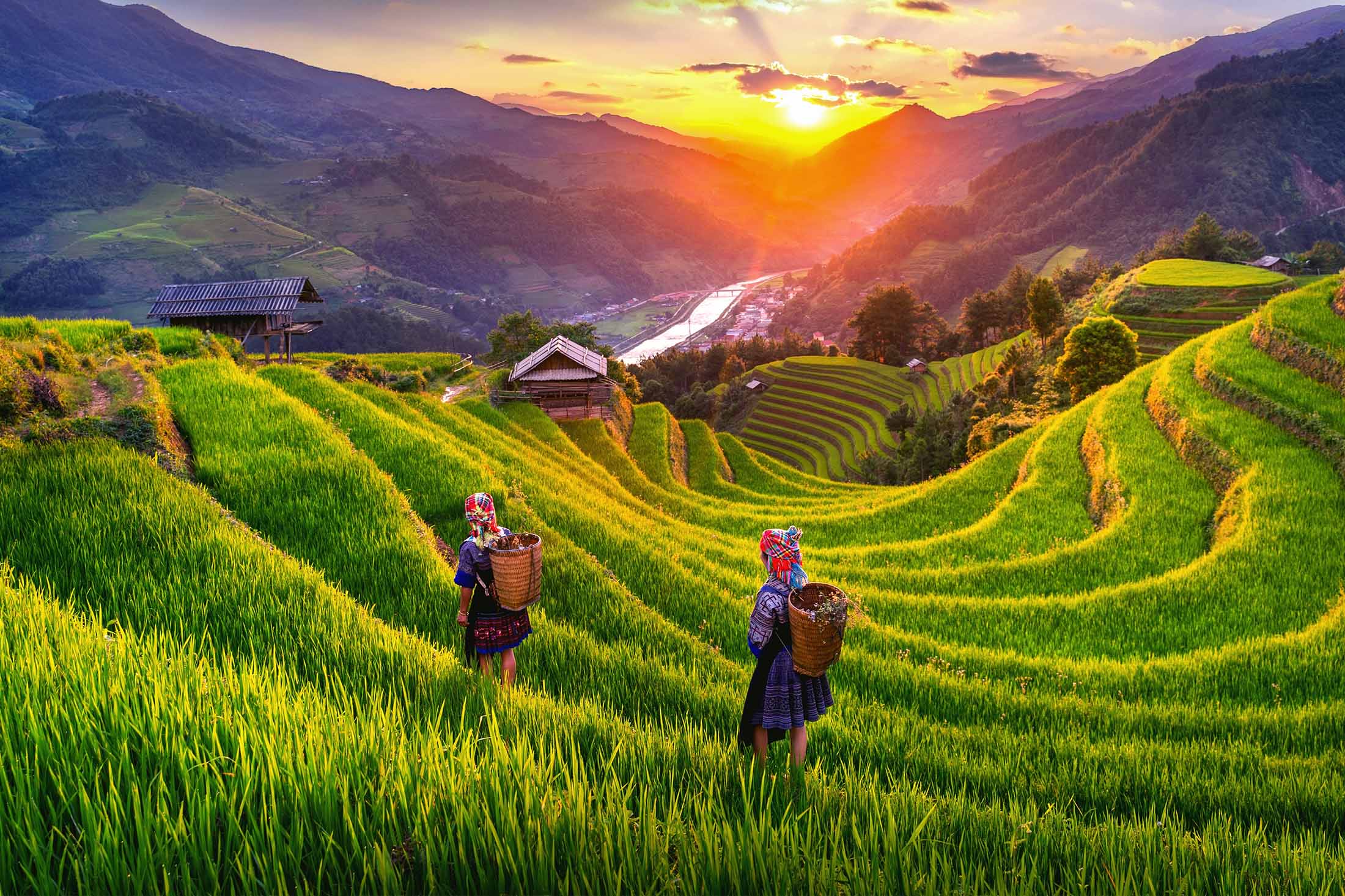 Best Vietnam Private Tours
