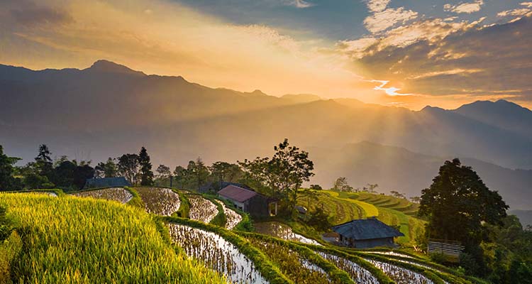 Photography Tours