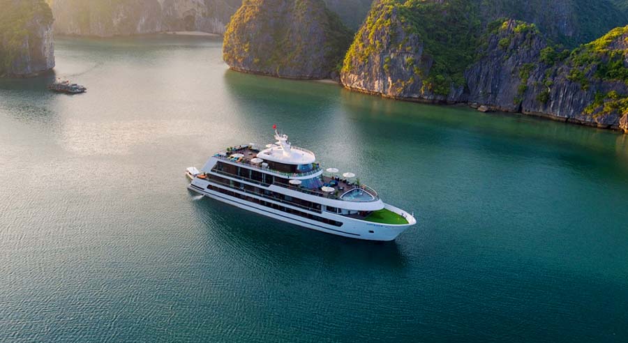 Stellar of the Seas
