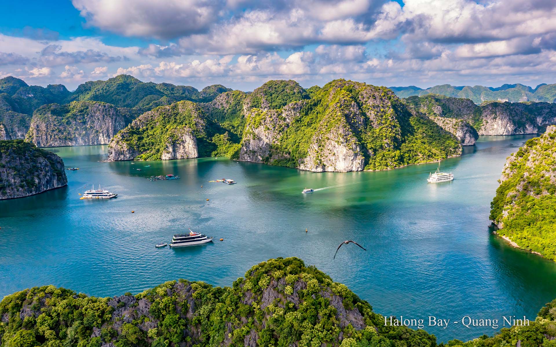 Top Must-See Attractions in Vietnam