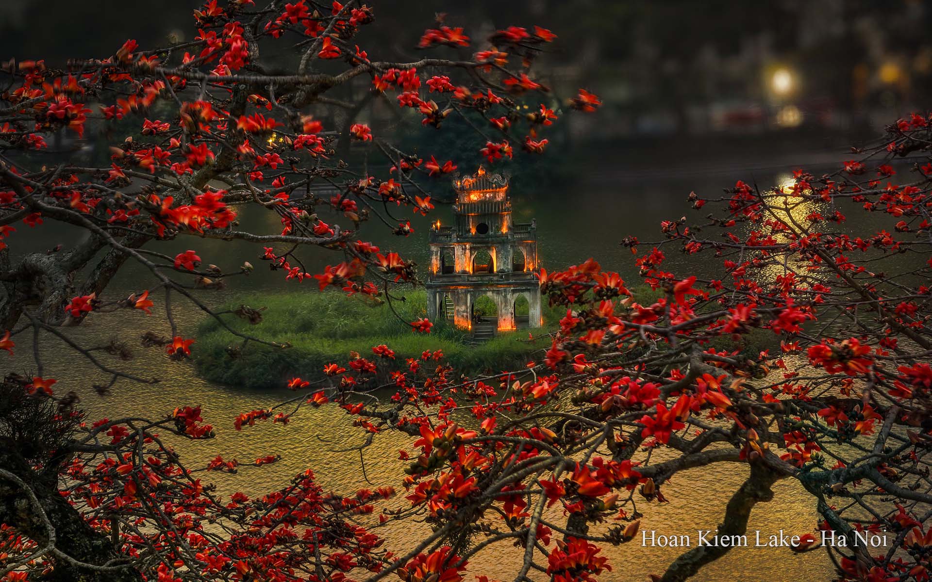 Top Must-See Attractions in Vietnam