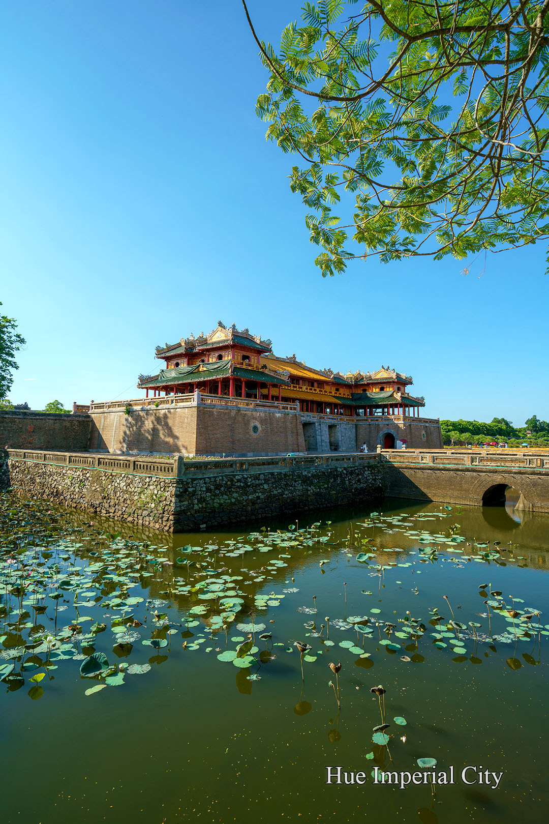 Top Must-See Attractions in Vietnam