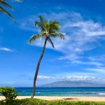 <a href="https://www.tripadvisor.com/ShowUserReviews-g293924-d8727305-r1053915466-Asia_Travel_Leisure-Hanoi.html" target="_blank">kgjamison</a>