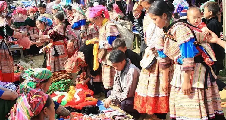 vietnam-bacha-4