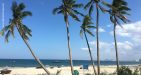 vietnam-Danang-11