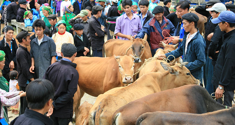Vietnam-HaGiang-29