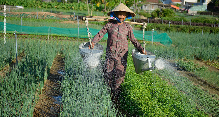 Vietnam-HoiAn-19