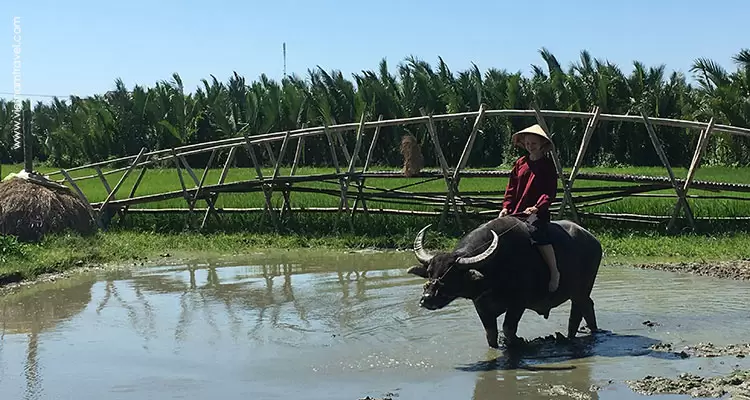 Vietnam-HoiAn-4
