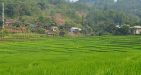 Vietnam-MaiChau-10