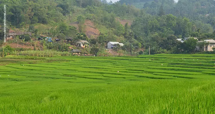 Vietnam-MaiChau-10