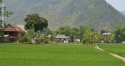 Vietnam-MaiChau-13