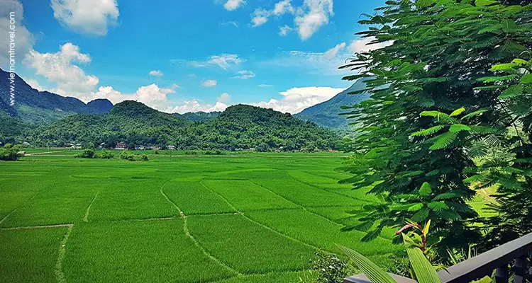 Vietnam-MaiChau-15