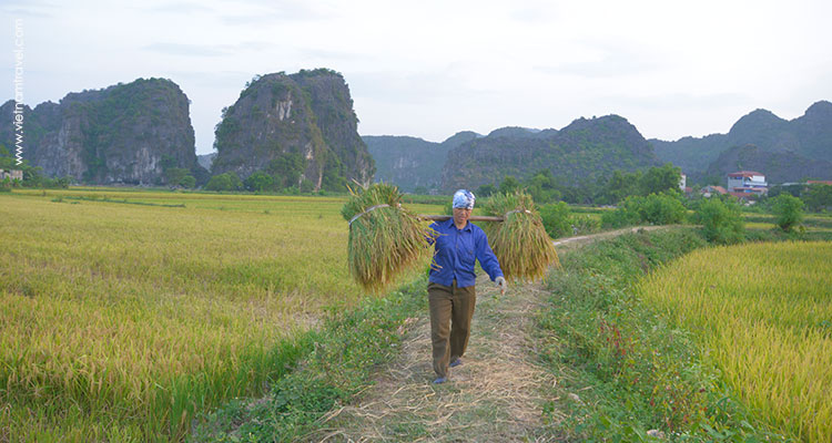 Day 3: Hanoi – Ninh Binh – Bai Dinh & Trang An.