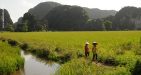 Vietnam-NinhBinh-5