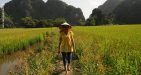 Vietnam-NinhBinh-6