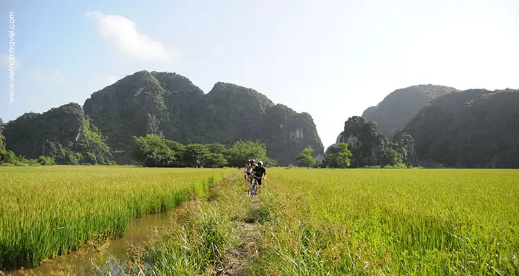Vietnam-NinhBinh-7