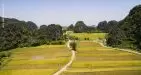 Vietnam-NinhBinh-9