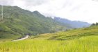 Vietnam-Sapa-19