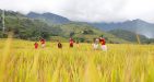 Vietnam-Sapa-23
