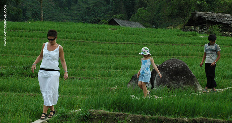 Day 5: Sapa Trekking.