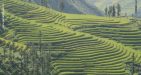 Vietnam-Sapa-59