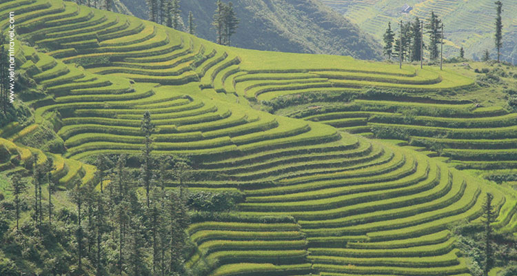 Vietnam-Sapa-59